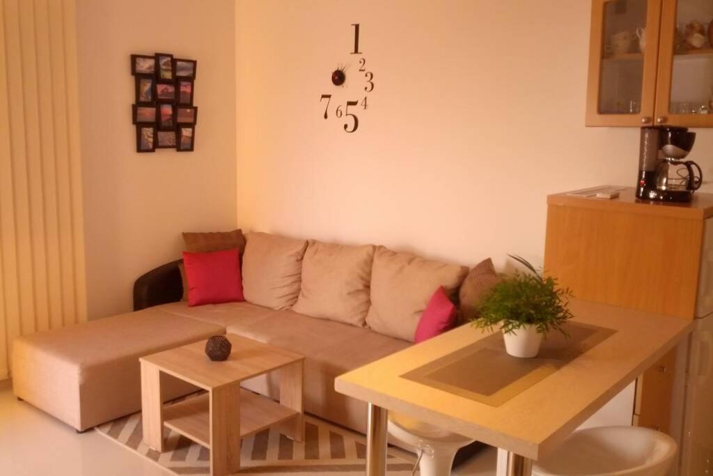 Apartment Dandelion *