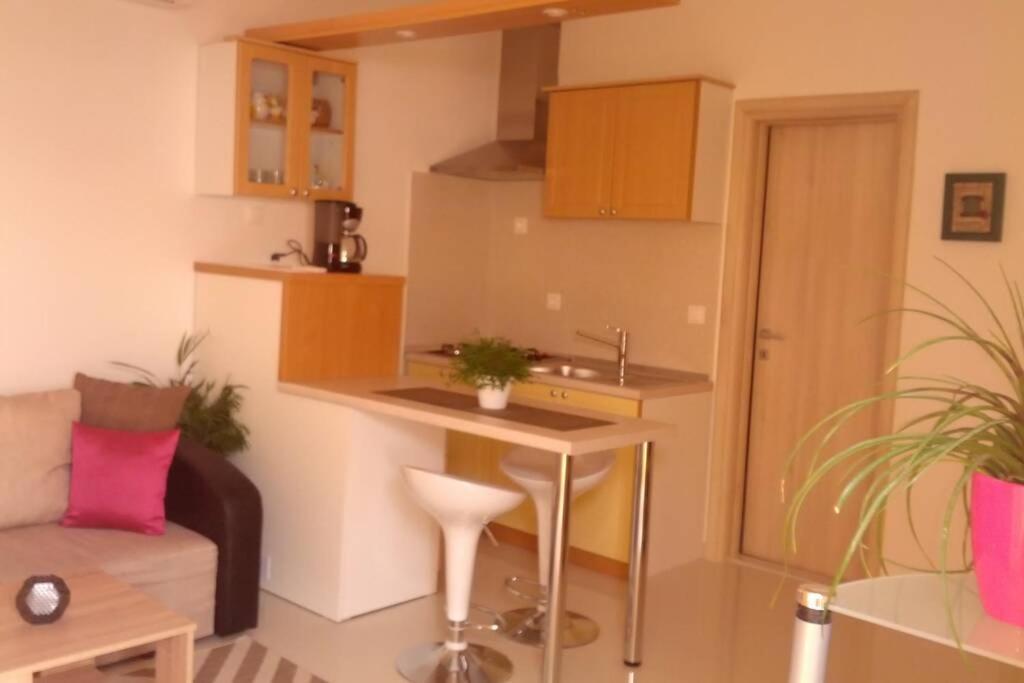Dandelion Apartment *